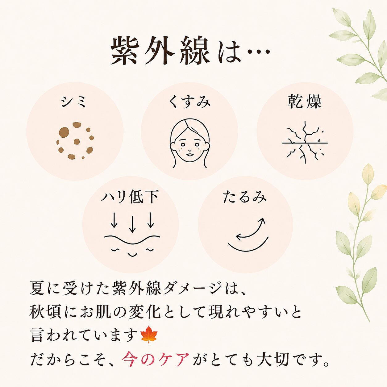 🌞 7月は一年で最も紫外線量が多い季節